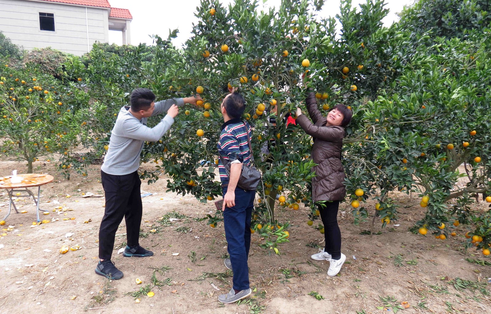 图片03.jpg